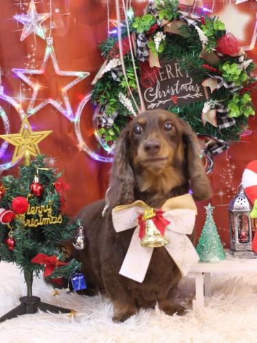 20231220ジョナくん